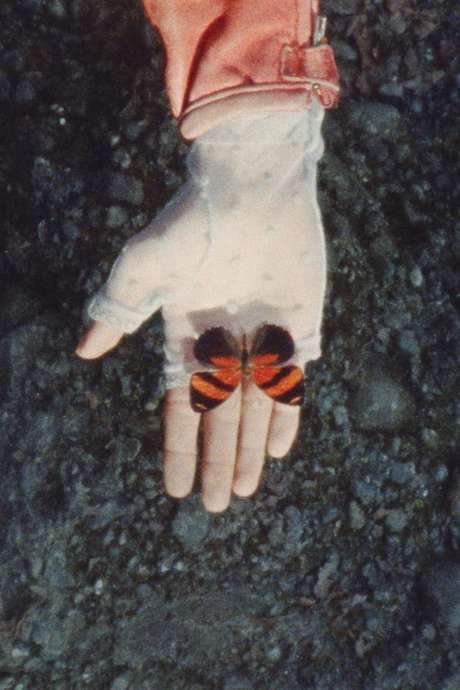 A Monster Called Love